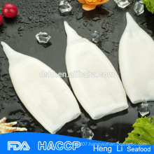 Sushi food frozen squid for sale for sale